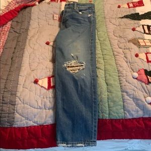 Mother The Tomcat Pray for hidden hens